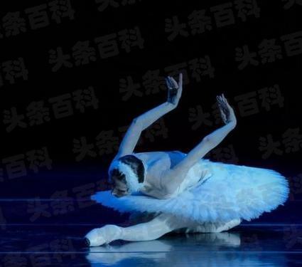 斡日切：一个表现天鹅优雅姿态的舞蹈
